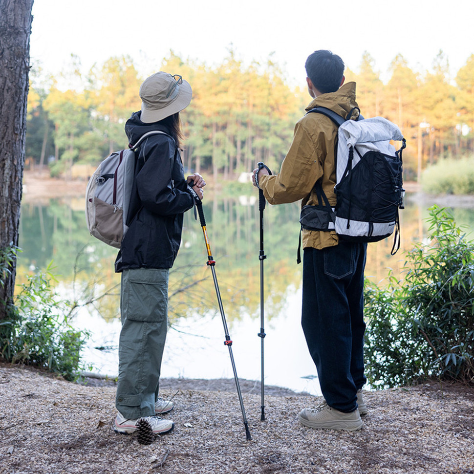 Трекінгова палиця алюмінієва Naturehike Qingxue Base NH17D001-Z, 61–135 см, титановий