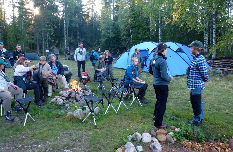 walkstool - gathering.jpg